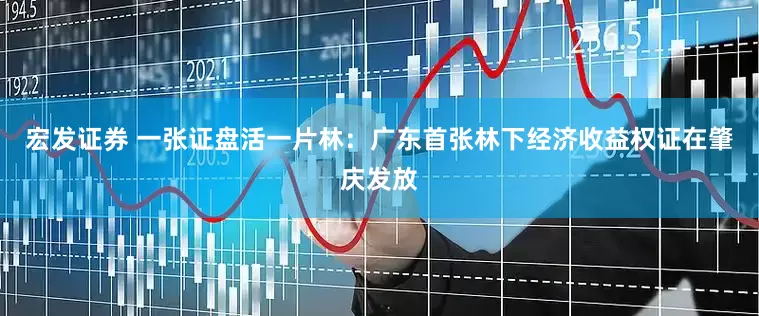 宏发证券 一张证盘活一片林：广东首张林下经济收益权证在肇庆发放